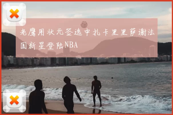 老鹰用状元签选中扎卡里里萨谢法国新星登陆NBA