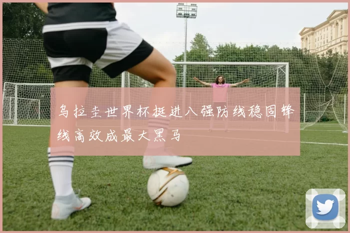 乌拉圭世界杯挺进八强防线稳固锋线高效成最大黑马